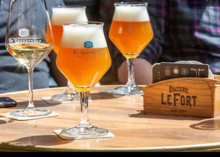 105 マーストリヒト